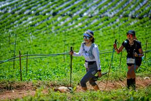 BIB: 3176
                            <button type="button" onclick="openModal(19164623)" class="btn btn-primary btn-sm float-right btn-popup" data-toggle="modal" data-target=".modal-high-quality">
                        <i class="fas fa-shopping-cart"></i> Add to Cart
                    </button>
                                            <button type="button" onclick="isThisMe(19164623, true)" class="btn btn-success btn-sm float-right btn-popup btn-isme hidden" data-toggle="tooltip" data-placement="bottom" title="นี่คือรูปของคุณใช่ไหม คลิกที่นี่เพื่อเอาเข้าอัลบั้ม">
                        <i class="fas fa-plus"></i> Add to album
                    </button>
                    <button type="button" onclick="isThisMe(19164623, false)" class="btn btn-warning btn-sm float-right btn-popup btn-isnotme hidden">
                        <i class="fas fa-ban"></i> Remove from album
                    </button>